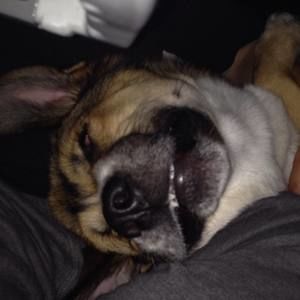 Meet your Posher, Yaomi